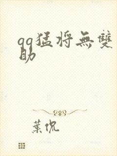 qq猛将无双辅助