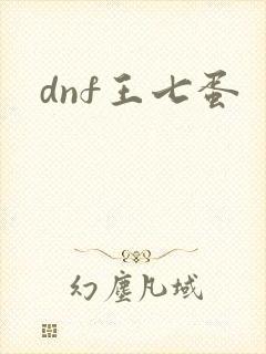 dnf王七蛋