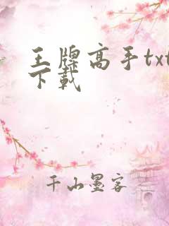 王牌高手txt下载