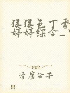 狠狠色丁香久久婷婷综合_中