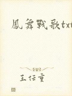 凤舞战歌txt