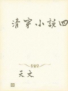 清穿小说四四