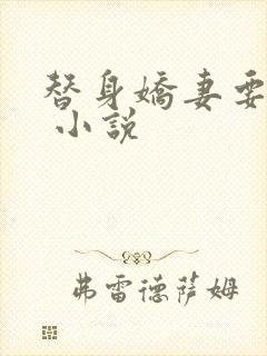 替身娇妻要离婚 小说