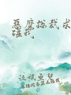 恶魔总裁求你别碰我