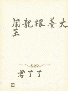 用龙根养大的公主