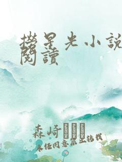 捞星光小说免费阅读