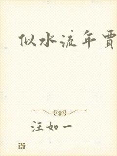 似水流年贾二虎