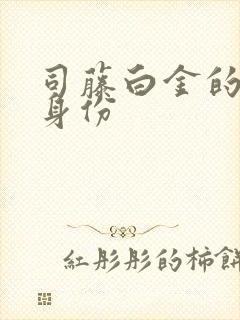 司藤白金的真实身份