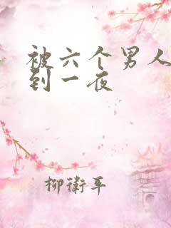 被六个男人躁J到一夜