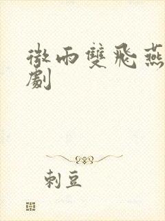 微雨双飞燕电视剧