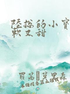 陆总的小宝贝又软又甜