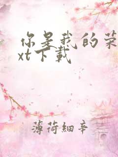 你是我的荣耀txt下载