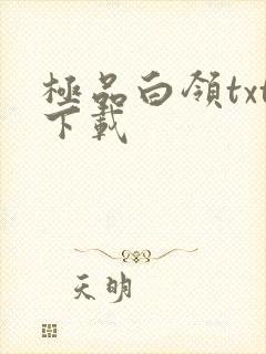 极品白领txt下载