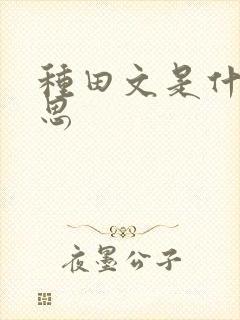 种田文是什么意思