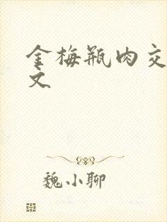 金梅瓶肉交白话文