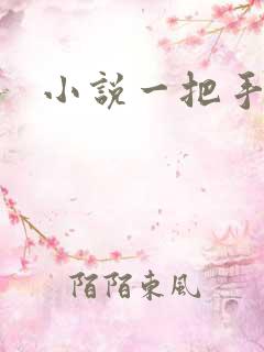 小说一把手