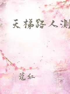 天梯路人测试器