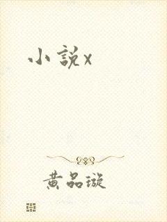 小说x