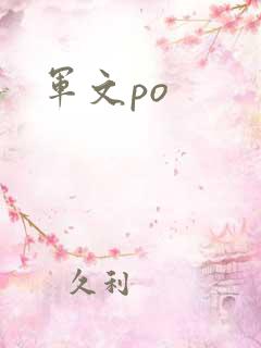 军文po