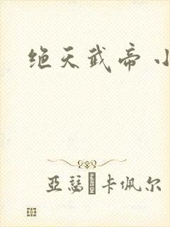 绝天武帝 小说