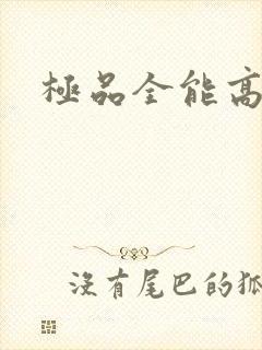极品全能高手