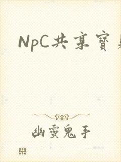 NpC共享宝贝