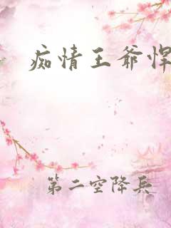 痴情王爷悍王妃