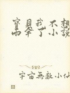 宝贝我不想带小雨伞了小说