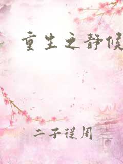 重生之静候锦年