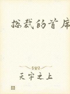 总裁的首席保姆