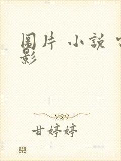 图片 小说 电影