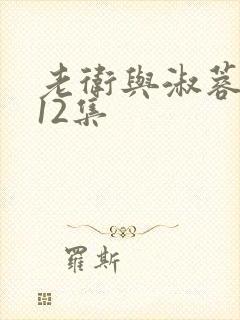 老卫与淑蓉1一12集