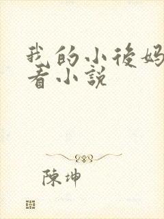 我的小后妈免费看小说