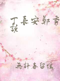 丁长安郑秀兰小说