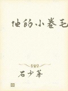 他的小卷毛