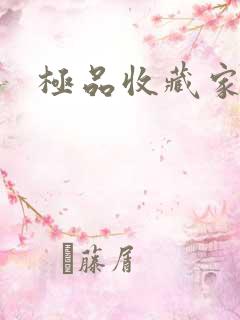 极品收藏家