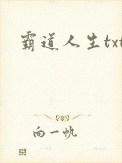 霸道人生txt