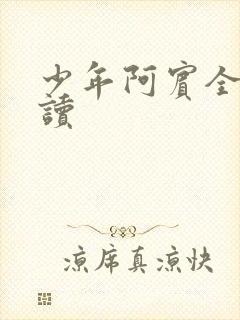 少年阿宾全本阅读