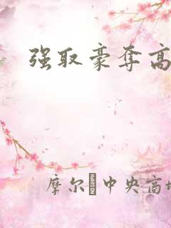 强取豪夺高干文