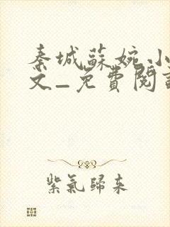 秦城苏婉小说全文_免费阅读最新