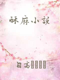 酥麻小说