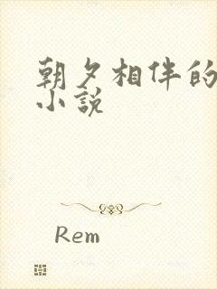 朝夕相伴的哥哥小说