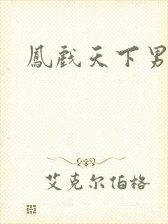 凤戏天下男