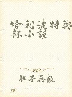 哈利波特与火焰杯小说