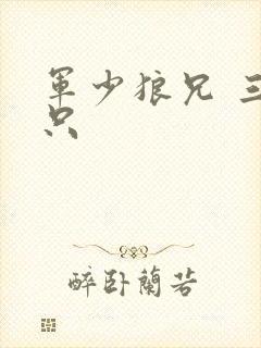 军少狼兄 三两只