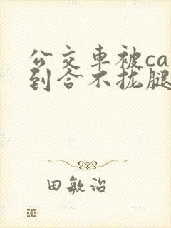 公交车被cao到合不拢腿视频