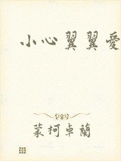 小心翼翼爱上你