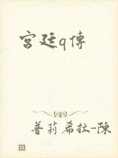 宫廷q传