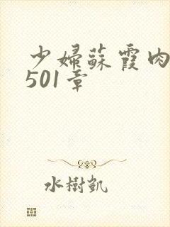 少妇苏霞肉欲第501章