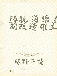 膀胱 海绵 控制改造确立m